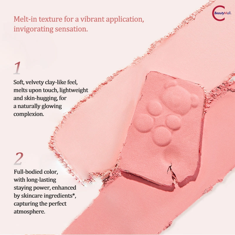 FOCALLURE Dual-Color Blush Mud