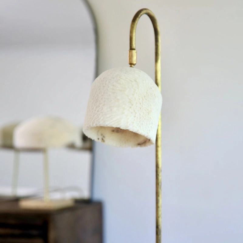Fossil Coral Arch Lamp