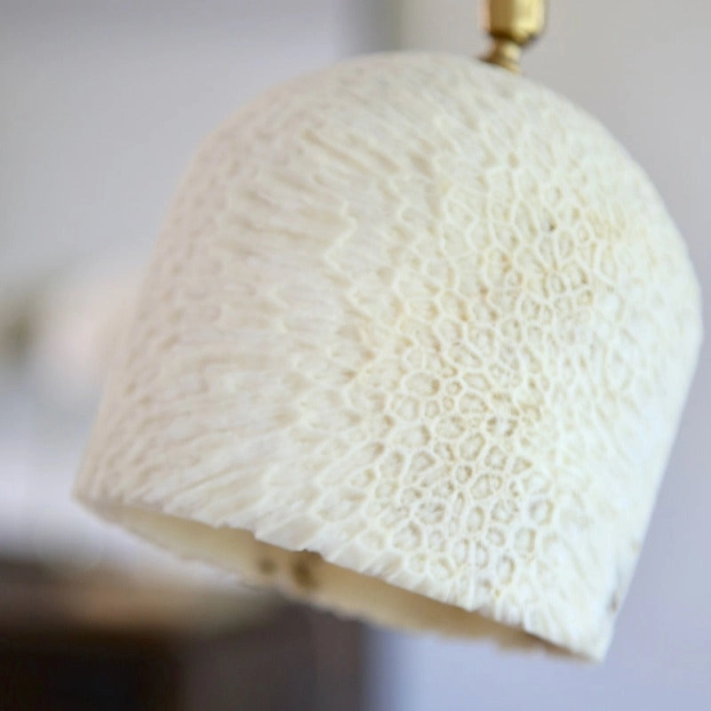 Fossil Coral Arch Lamp