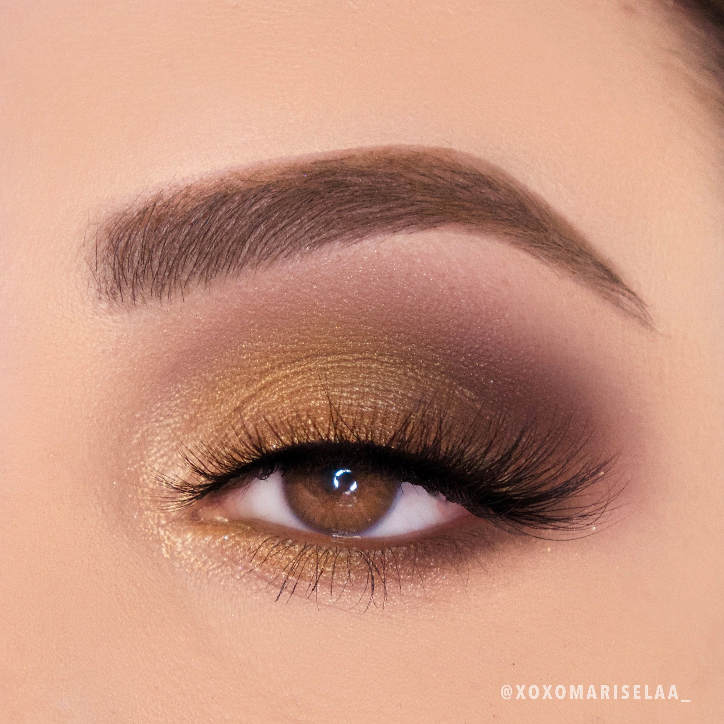 Golden Treasure Palette