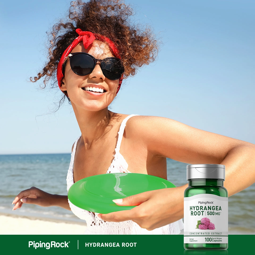 Hydrangea Root, 500 mg, 100 Quick Release Capsules