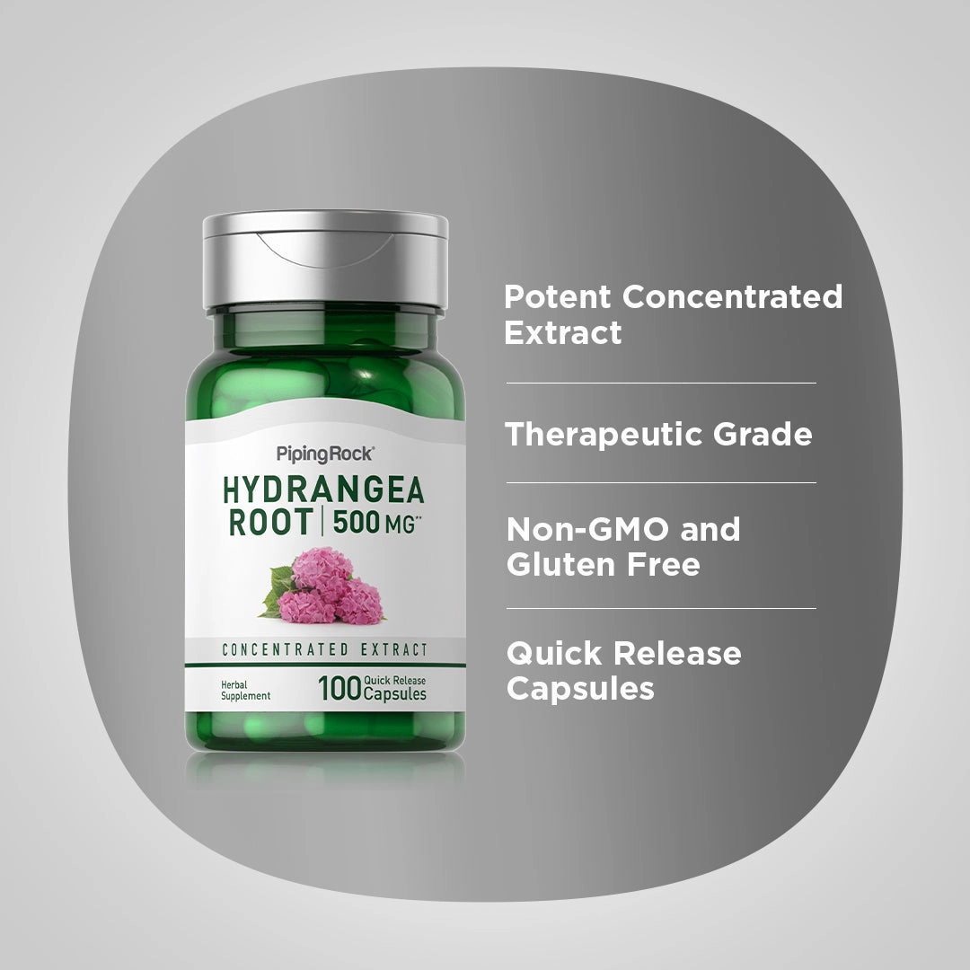 Hydrangea Root, 500 mg, 100 Quick Release Capsules