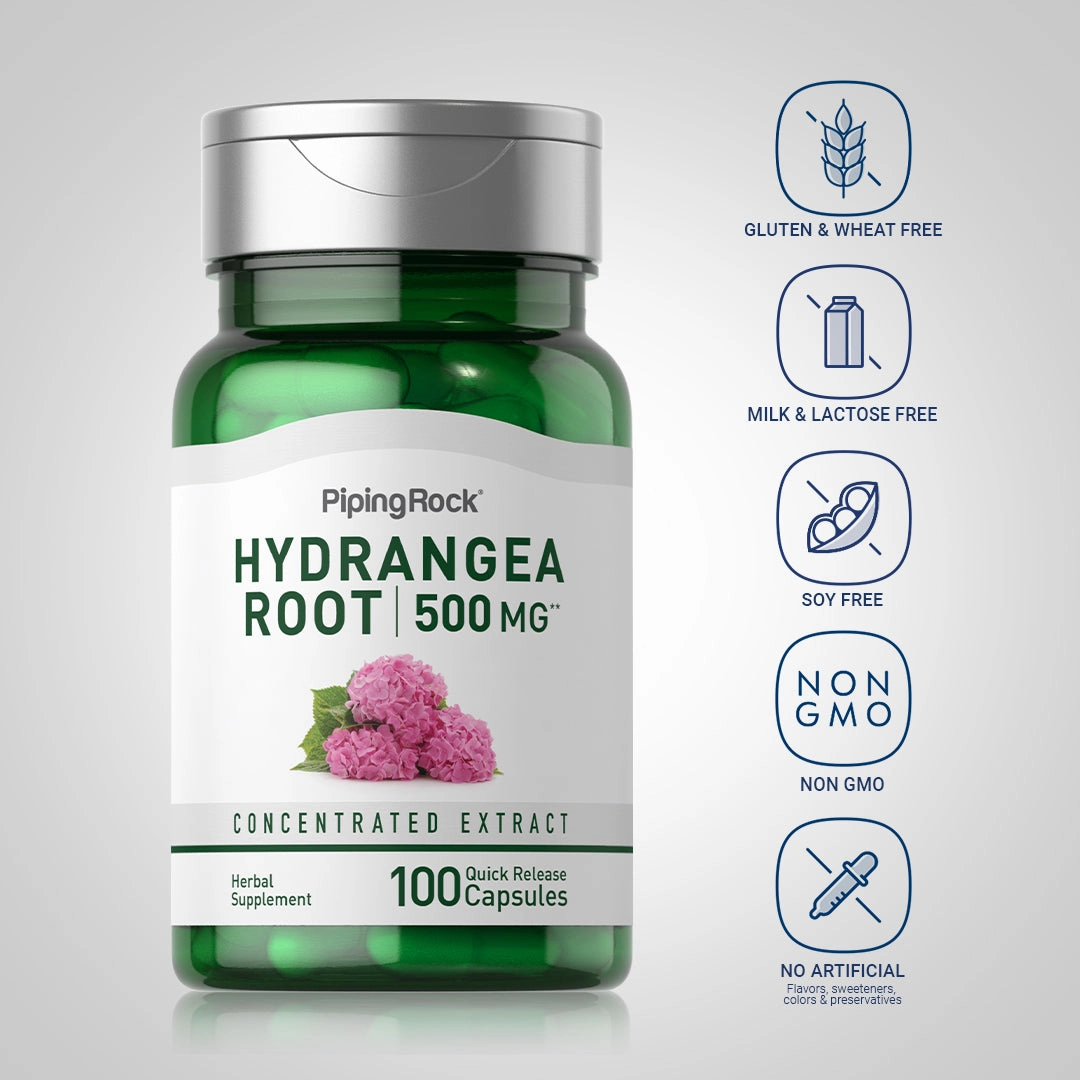 Hydrangea Root, 500 mg, 100 Quick Release Capsules