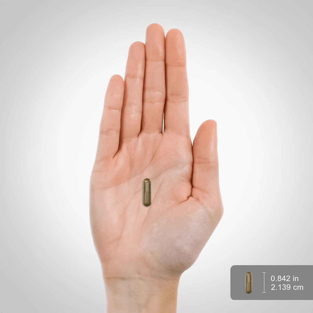 Liver Care, 90 Quick Release Capsules