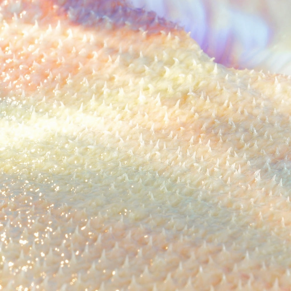 Need-Le Brightening Microchanneling Nectar