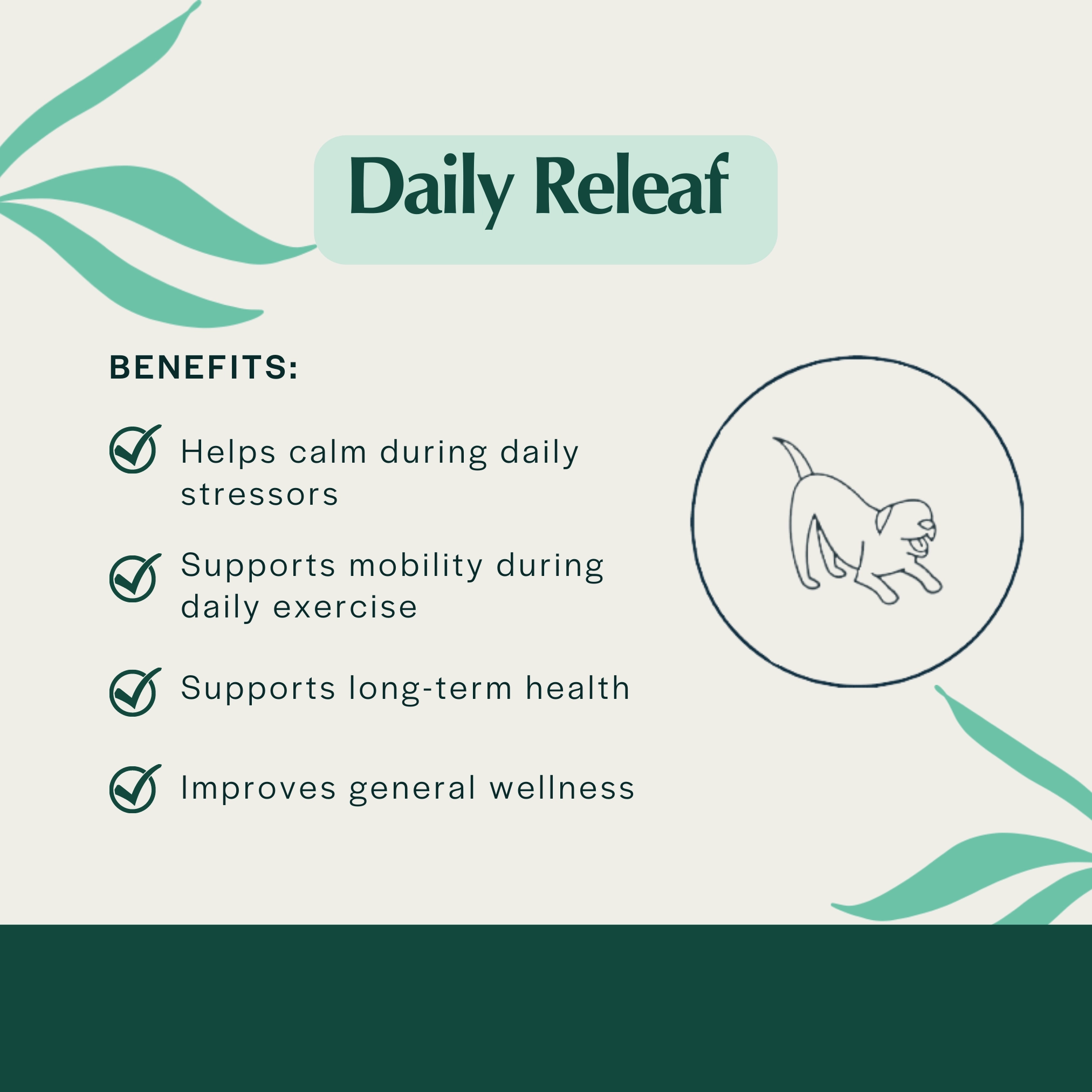 Pet Releaf Daily Releaf 500mg Hemp Oil for Large Dogs