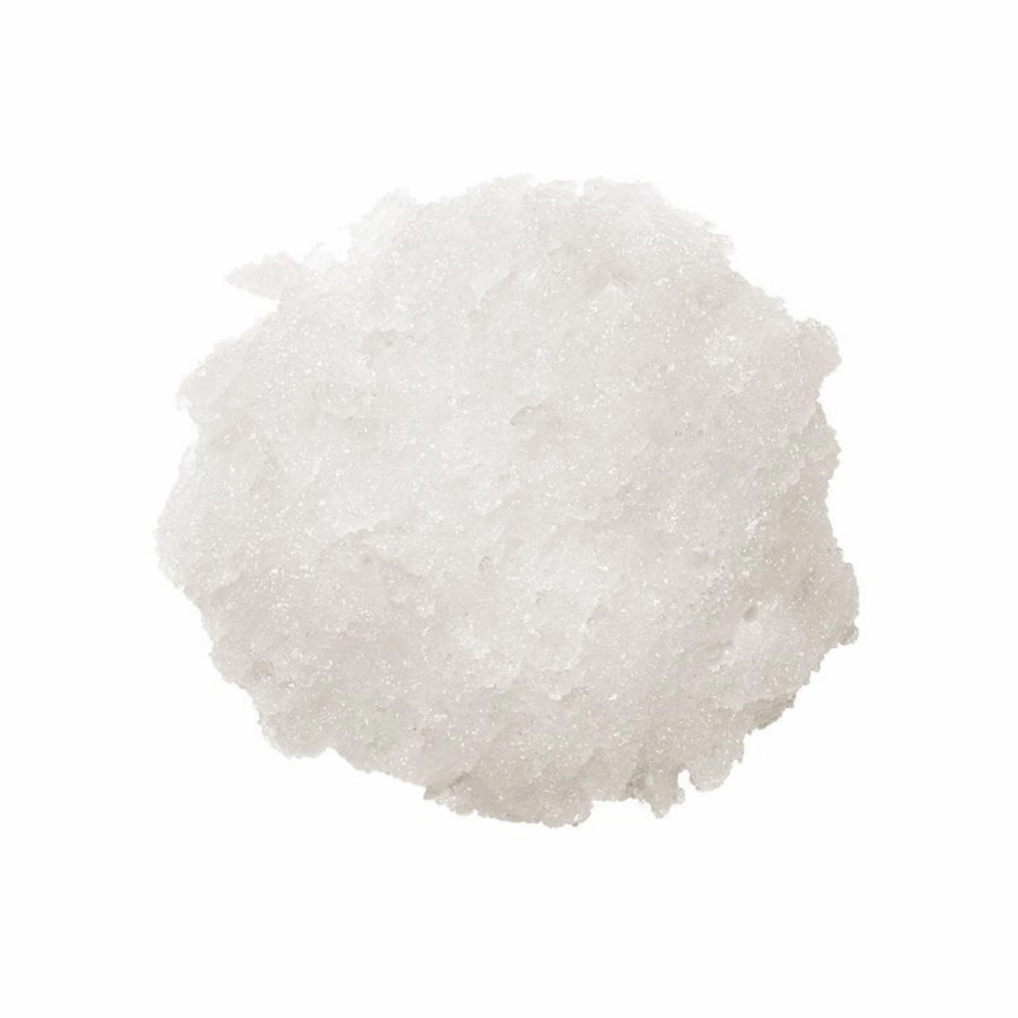 Sara Happ The Lip Scrub Coconut