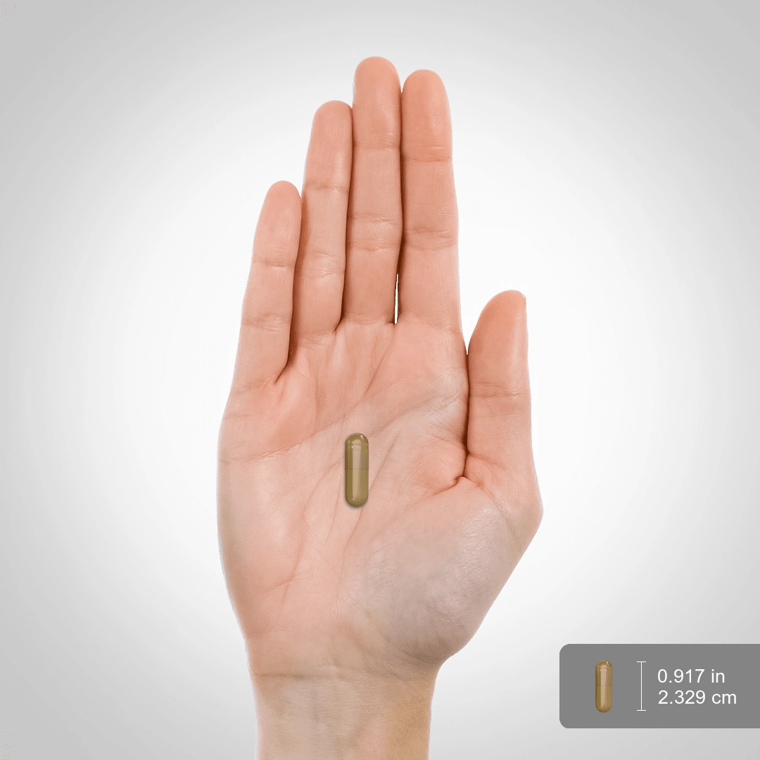 Silica (Horsetail), 500 mg, 100 Quick Release Capsules