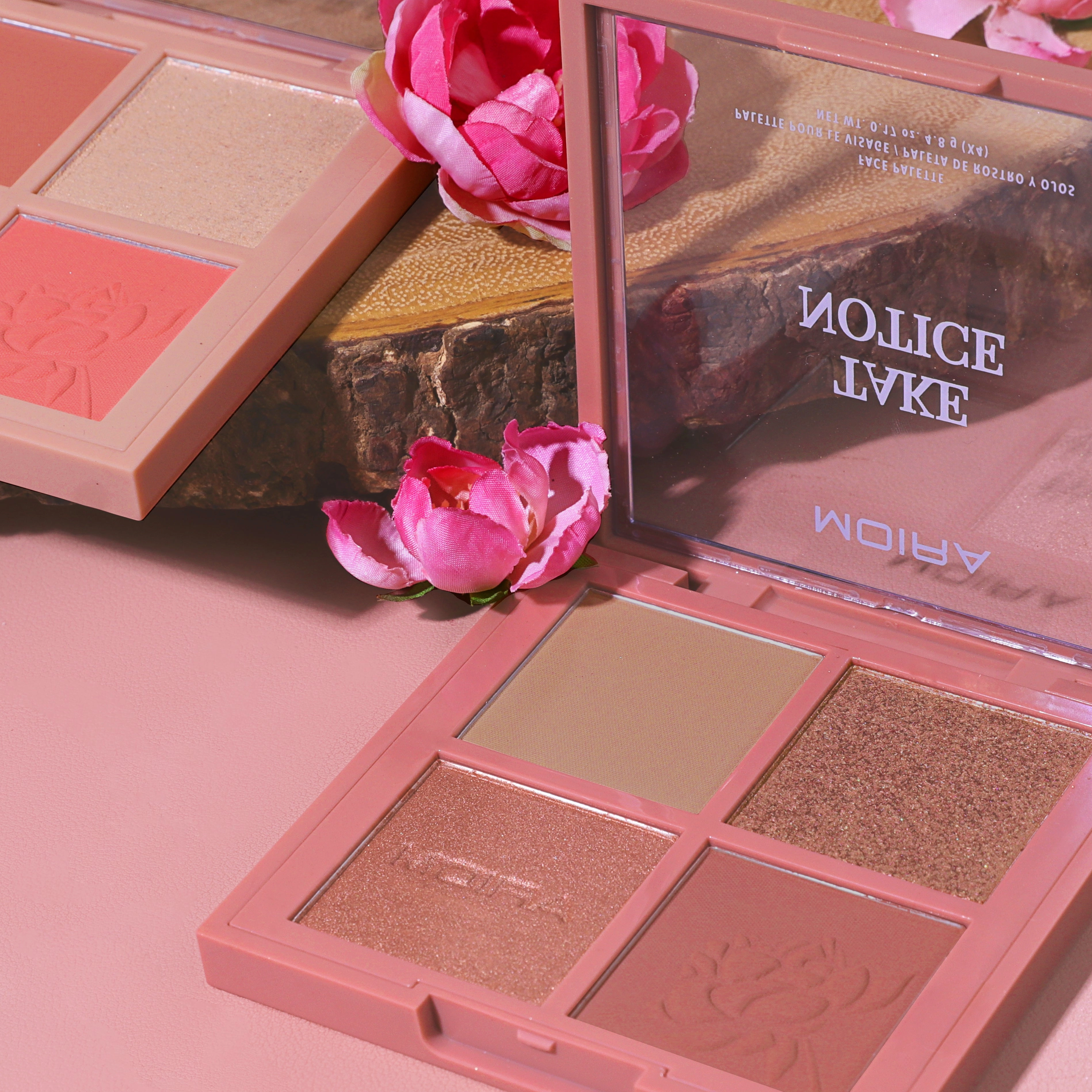 Take Notice Face Palette
